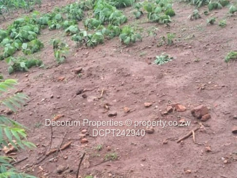 Prime 1011 m² Residential Stand for Sale in Tynwald South