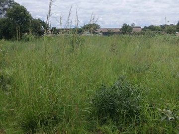 Commercial & Industrial Land