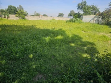 Stands & Residential Land