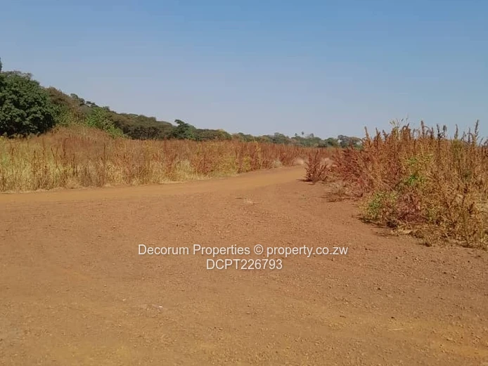 **Discover Your Dream Stand in Spitzkop, Harare West – 220m²!**